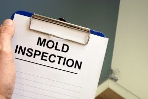 mold inspection hewitt nj